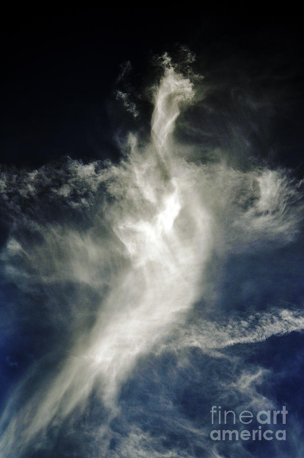 Dragon Cloud Photograph by Clayton Bruster