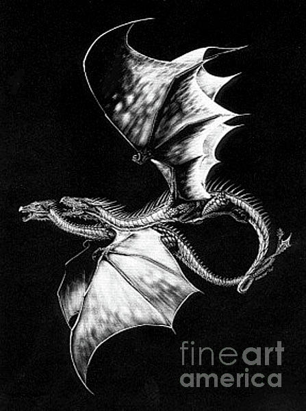 Dragon Drawing - Dragon Courtship by Stanley Morrison