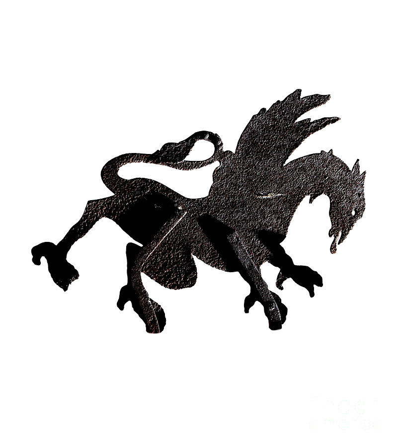 Dragon cutout Photograph by Vladi Alon Fine Art America