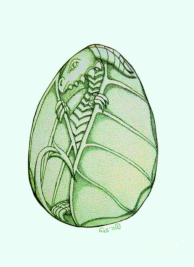 Dragon Egg Drawing