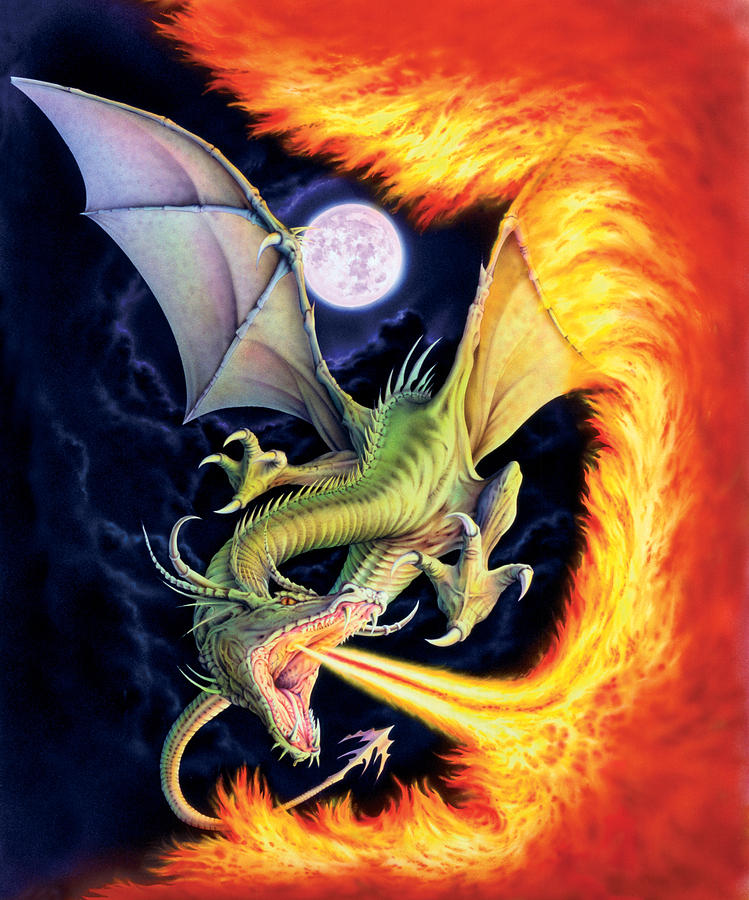 Dragon Photograph - Dragon Fire by MGL Meiklejohn Graphics Licensing