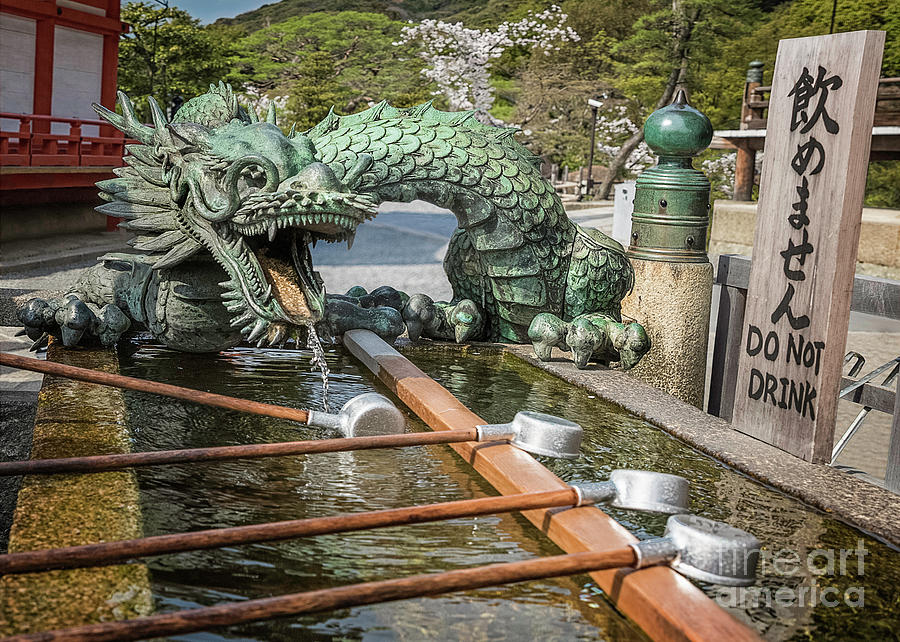Dragon Fountain Seiryu I Photograph by Karen Jorstad