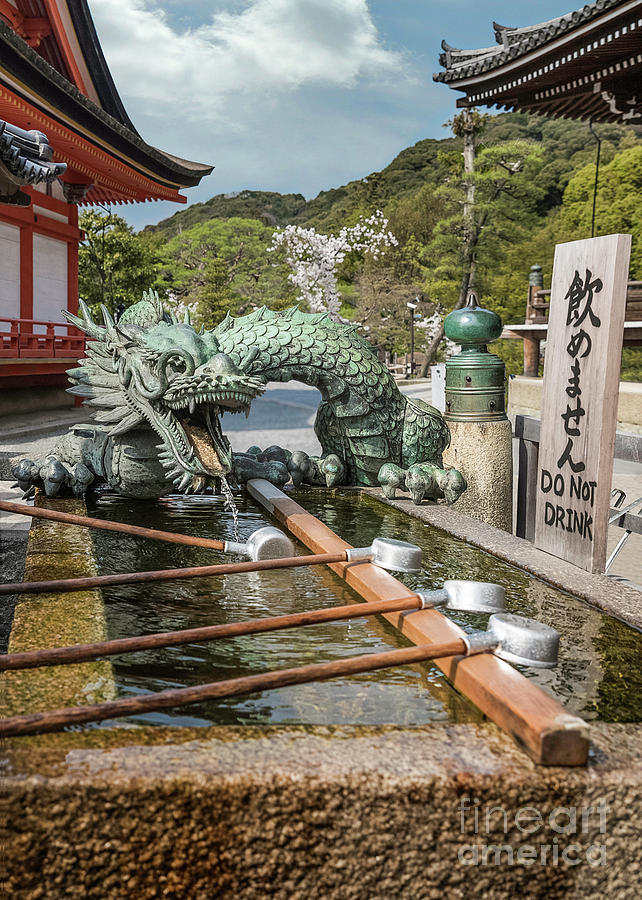 Dragon Fountain Seiryu Photograph by Karen Jorstad