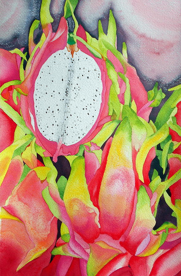 Dragon Fruit Painting by Margaret Elizabeth Johnston ND - Fine Art America