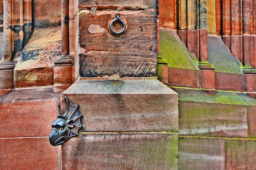 Victor Hugo Photograph - Dragon head. Strasbourg Cathedral. by Andy i Za