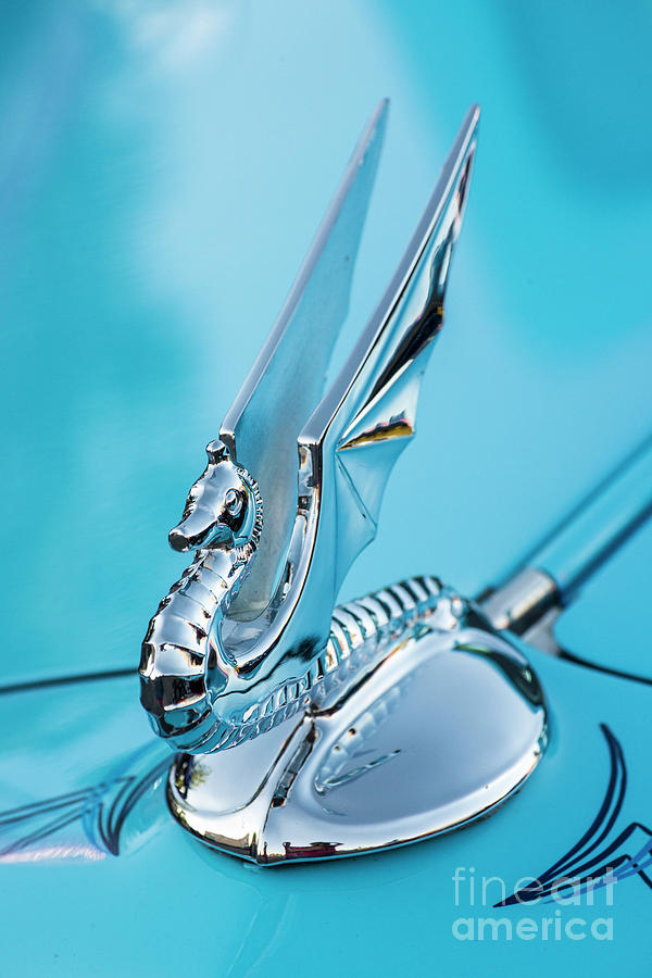 Flying Seahorse Hood Ornament - Classic Car Photograph by Gary Whitton