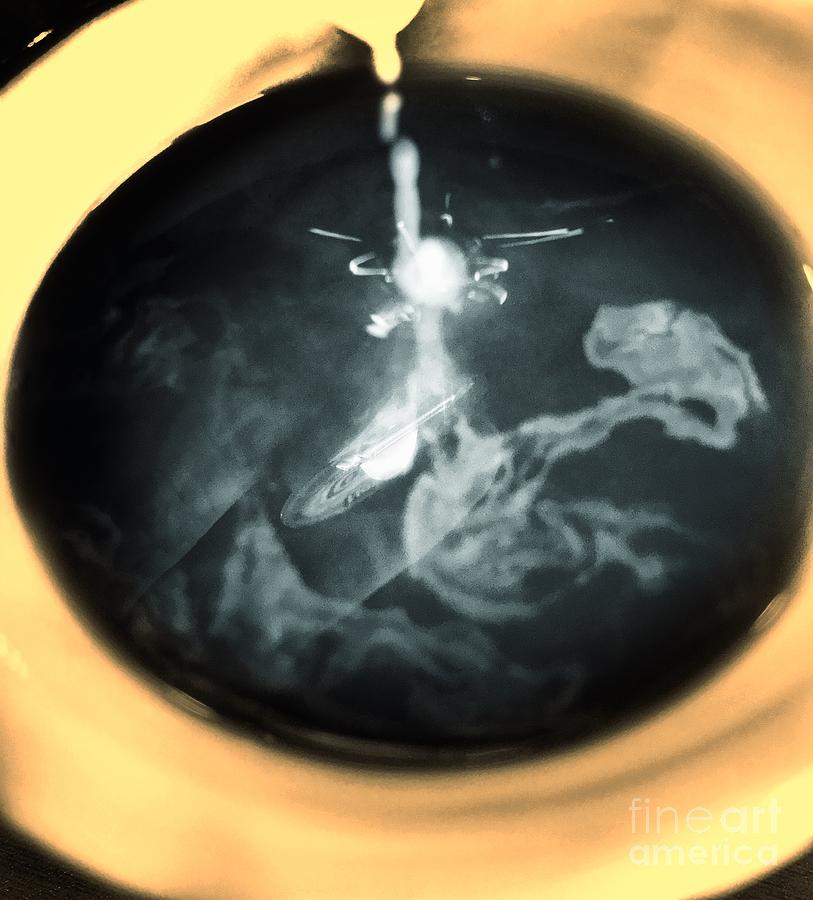 Dragon in the coffee Photograph by Rrrose Pix