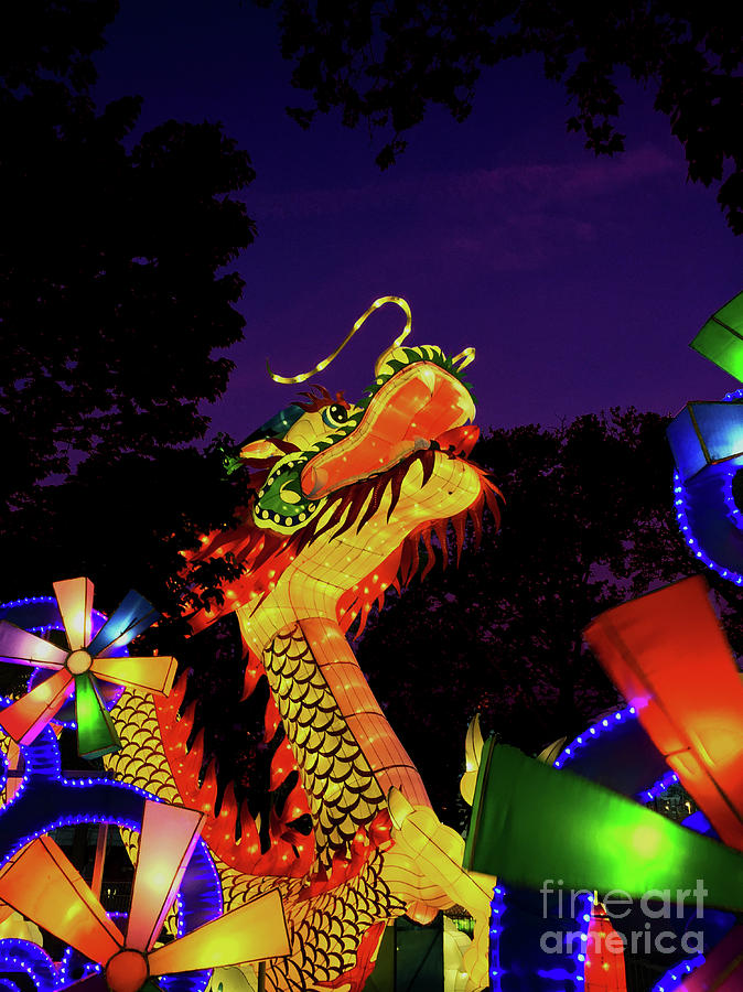 Dragon In The Night Photograph by Phil Welsher