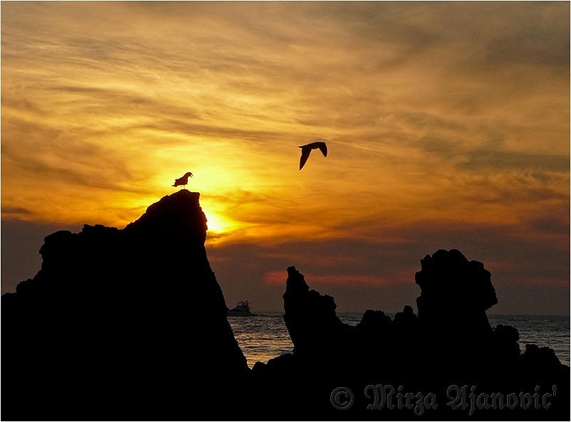 Sunset Photograph - Dragon Island by Mirza Ajanovic