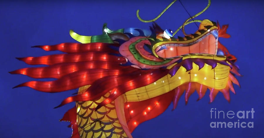 Lantern Digital Art - Dragon Lantern by Karen Francis Lantern Digital Art - Dragon Lantern by Karen Francis