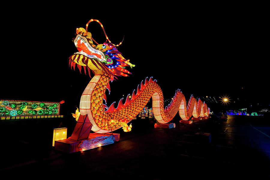 Dragon light fest  Photograph by Sven Brogren