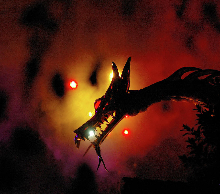 Dragon  Photograph by Matthew Nelson