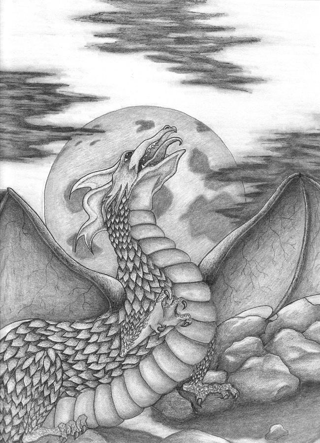 Dragon Moon Light Drawing By Nancy Esposito