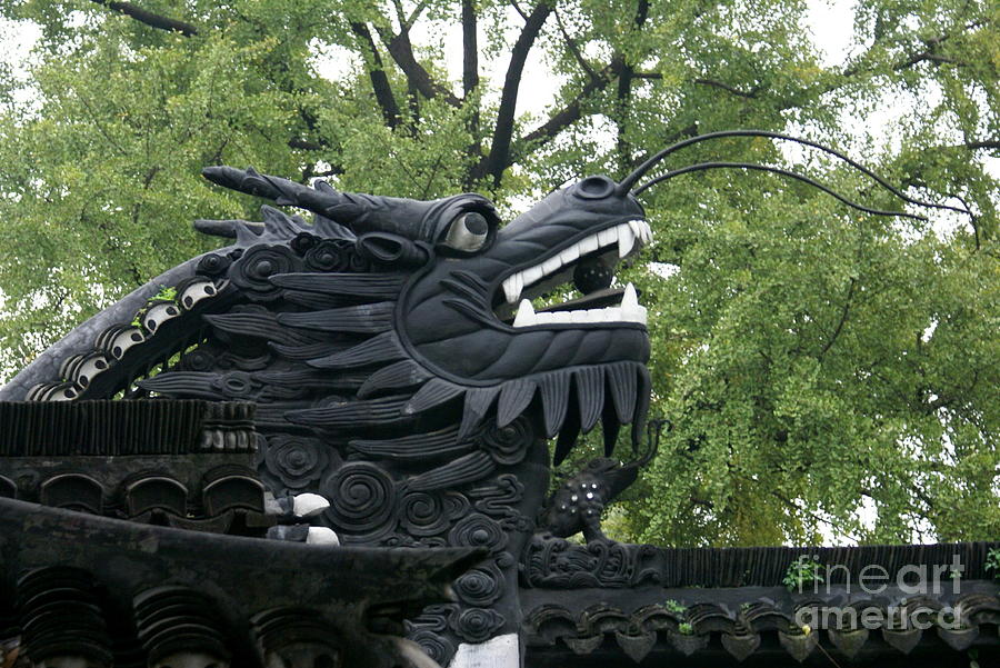 Dragon on the Wall - Yuyuan Garden Photograph by Padamvir Singh