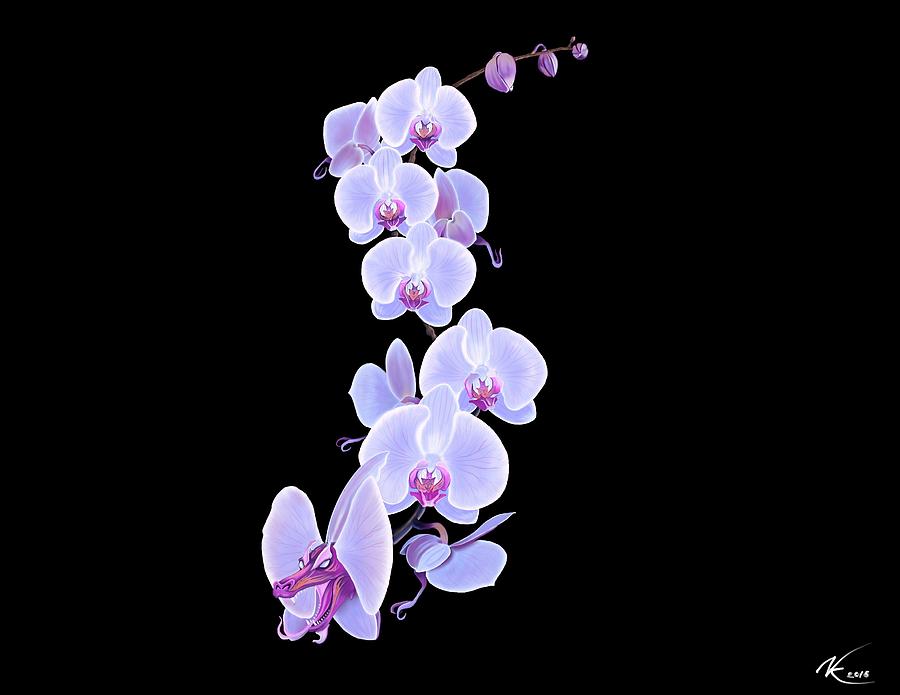 Dragon Orchid Digital Art by Norman Klein
