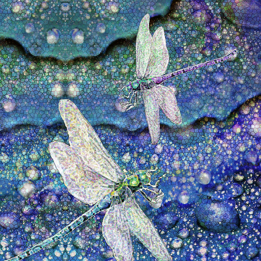 Dragonflies On Dragon Tears Digital Art