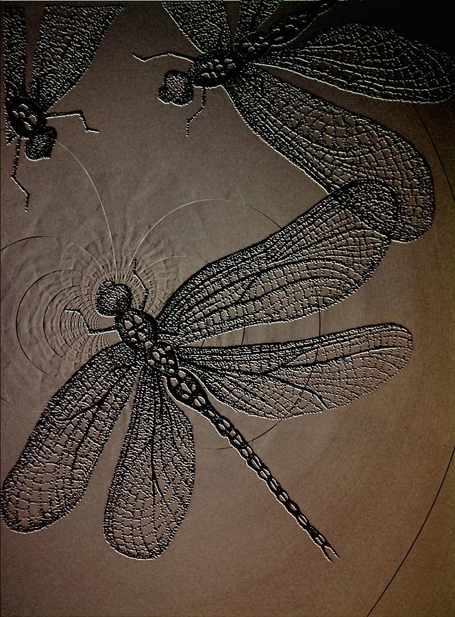 Dragonflies Digital Art by Tony Kroll