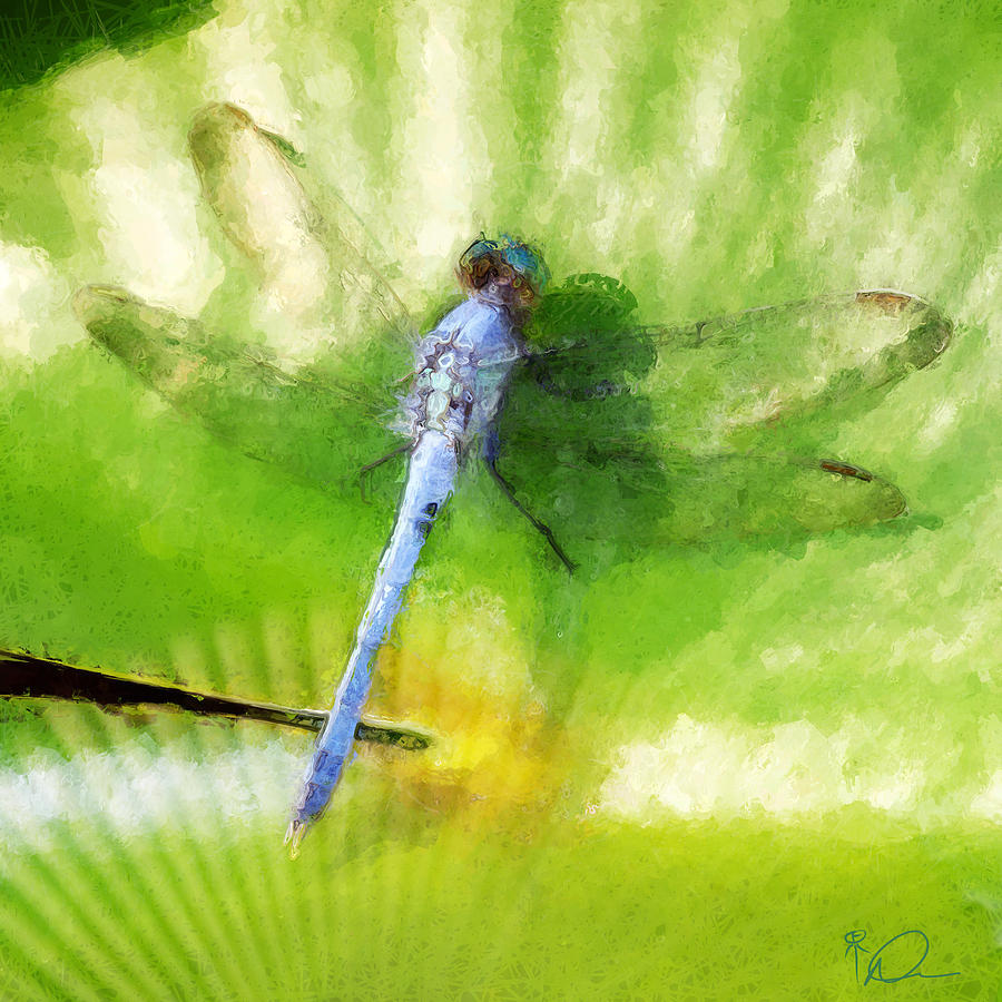 Dragonfly 2 Digital Art