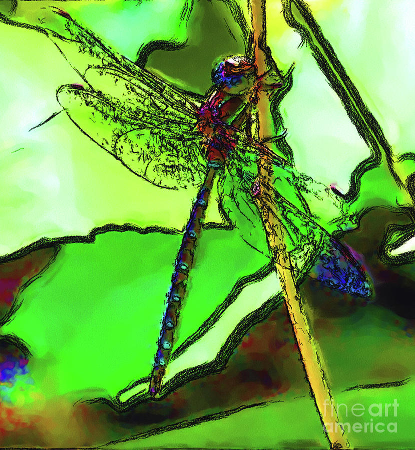 Dragonfly 2 Digital Art by Smilin Eyes Treasures