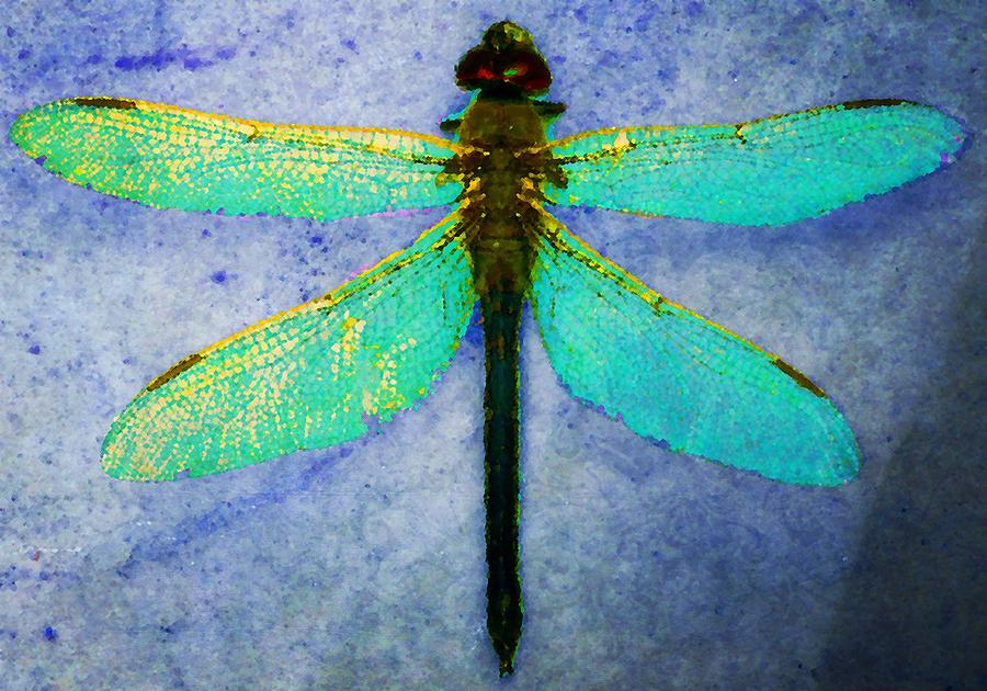 Dragonfly 5 Photograph by Timothy Bulone