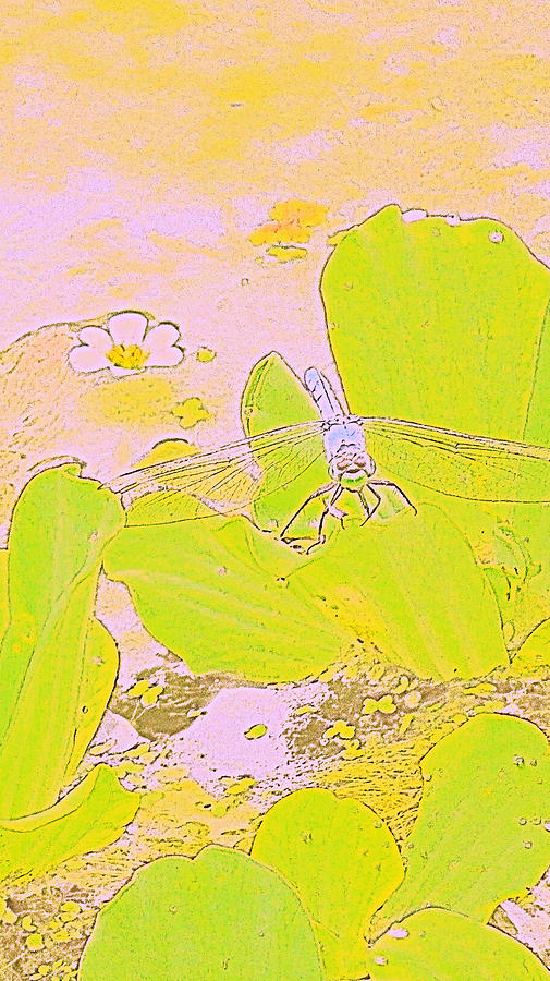 Dragonfly And Bloom Photograph