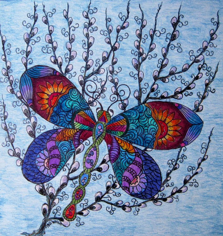 Dragonfly and Pussywillows Drawing by Megan Walsh
