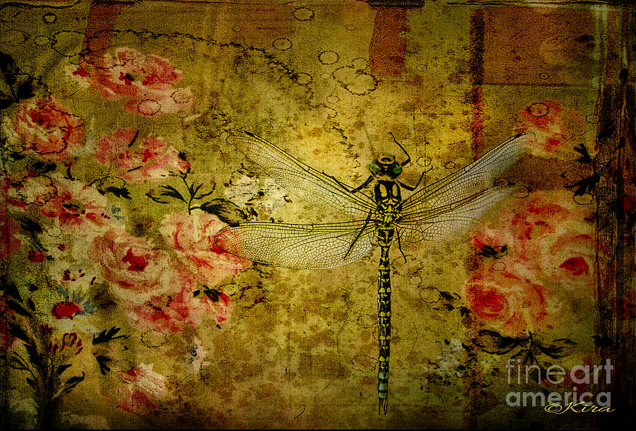 Dragonfly and roses Photograph by Kira Bodensted
