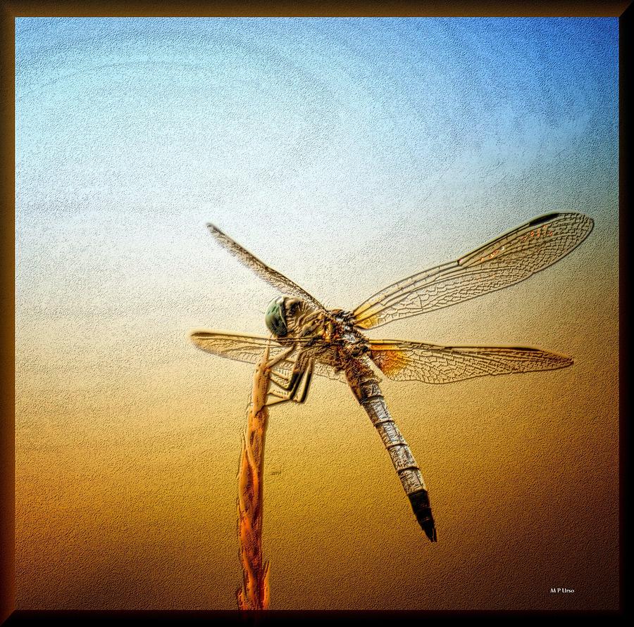 Dragonfly Art 15-01 Photograph by Maria Urso