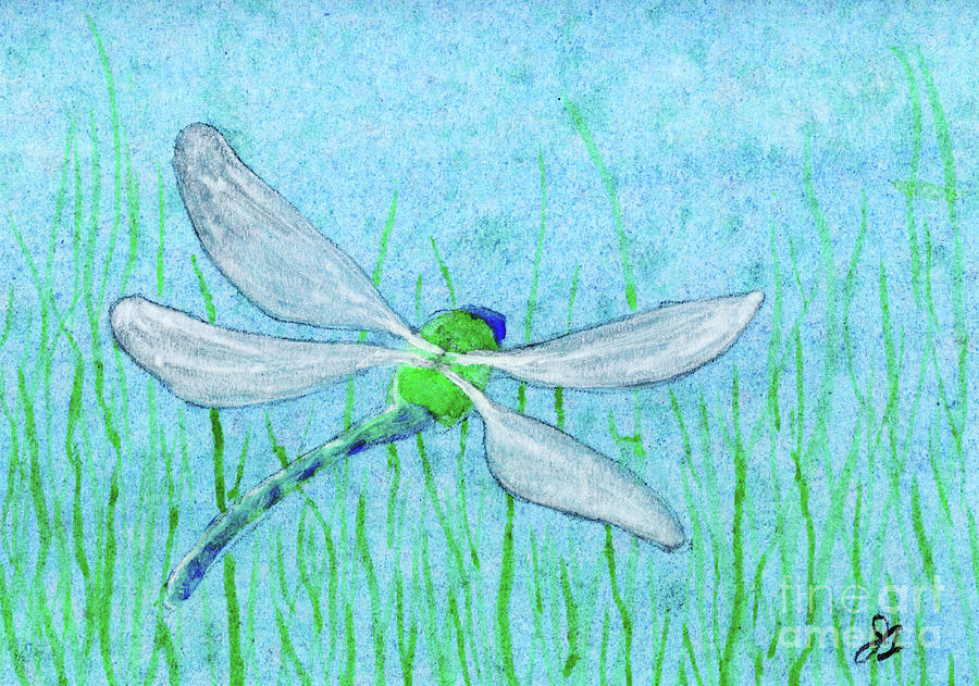 Dragonfly Biplane Painting by Jackie Irwin