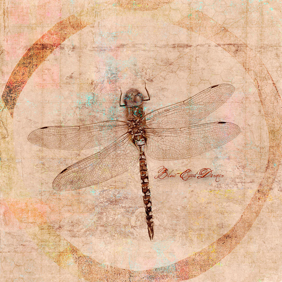 Summer Mixed Media - Dragonfly by Carol Leigh
