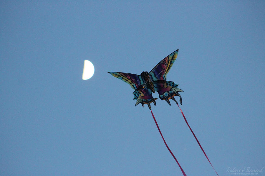 Dragonfly Chasing The Moon Photograph by Robert Banach