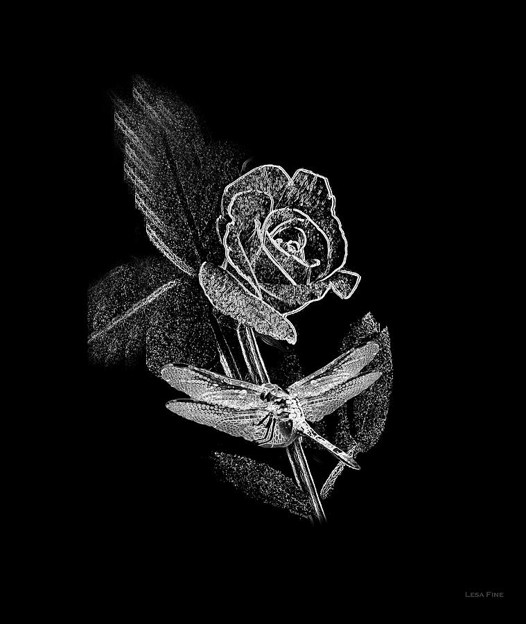 Dragonfly Dash With The Rose 3 BW Mixed Media by Lesa Fine