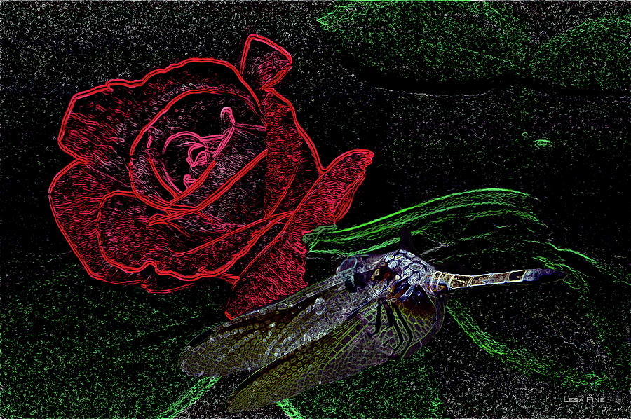 Nature Photograph - Dragonfly Dash With The Rose Neon by Lesa Fine