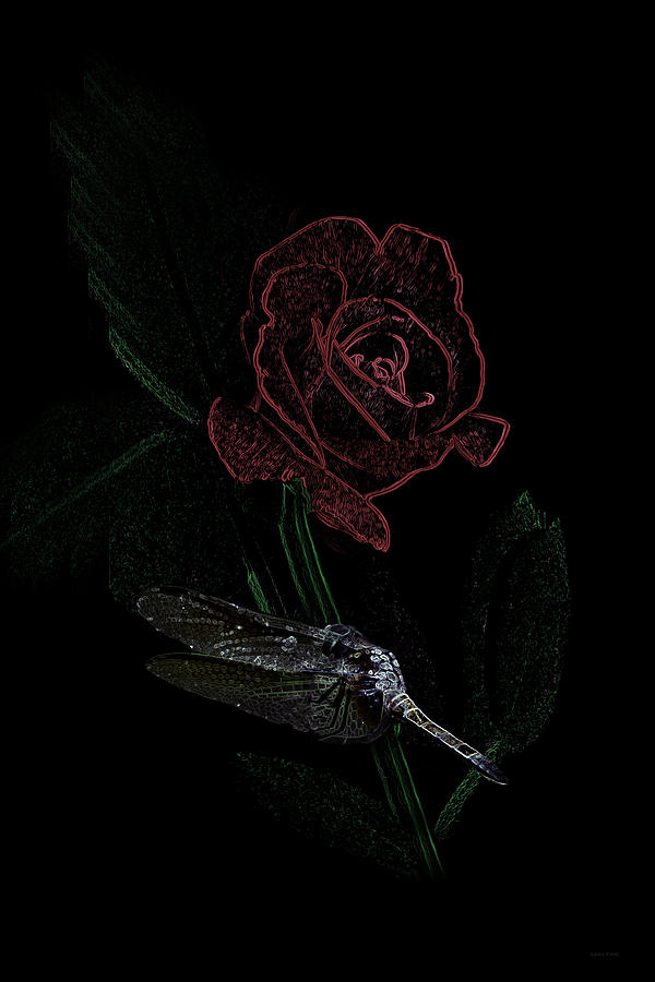 Dragonfly Dash With The Rose Vertical Photograph by Lesa Fine