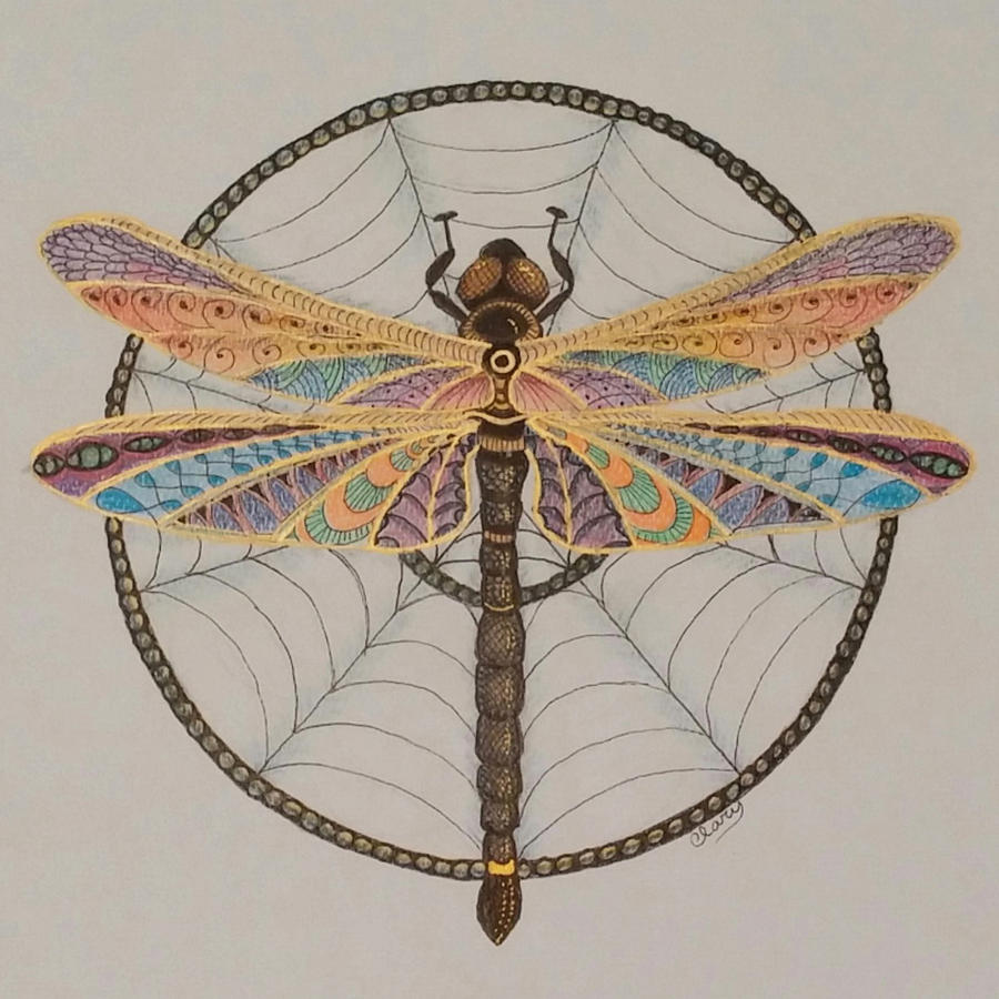 Dragonfly Dreamcatcher Drawing by Linda Clary