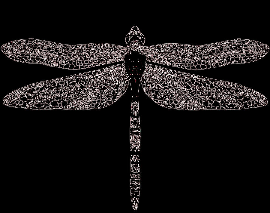 Dragonfly Fossil Drawing
