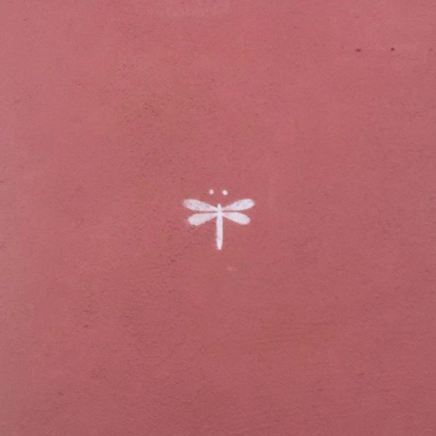 Dragonfly Photograph - #dragonfly #goodluck #redthursday by Heidi Lyons