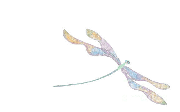 Dragonfly  Digital Art by Heather Hennick