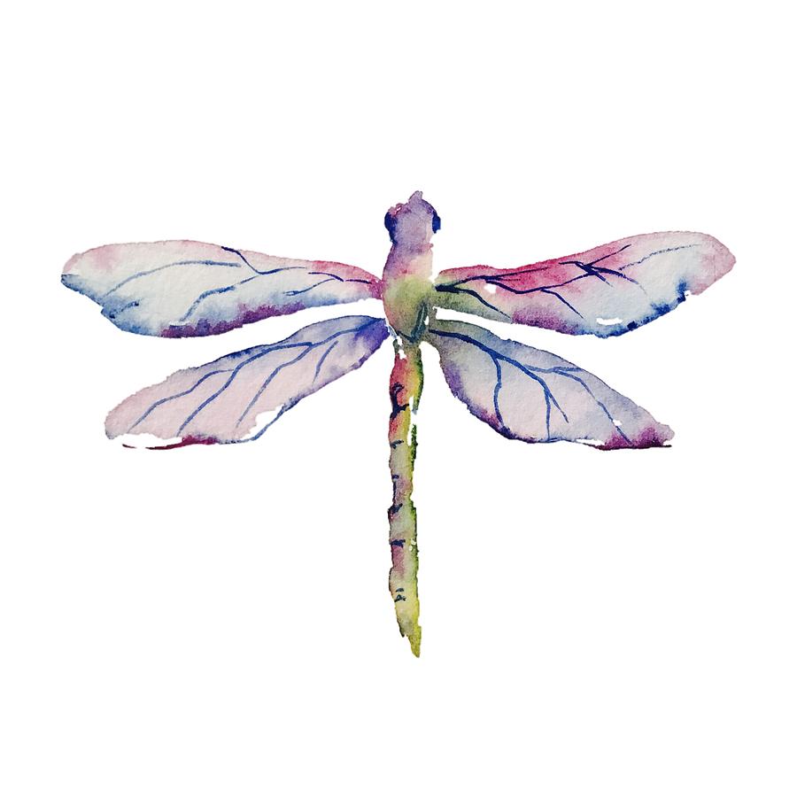 Insects Painting - Dragonfly I by Liana Yarckin
