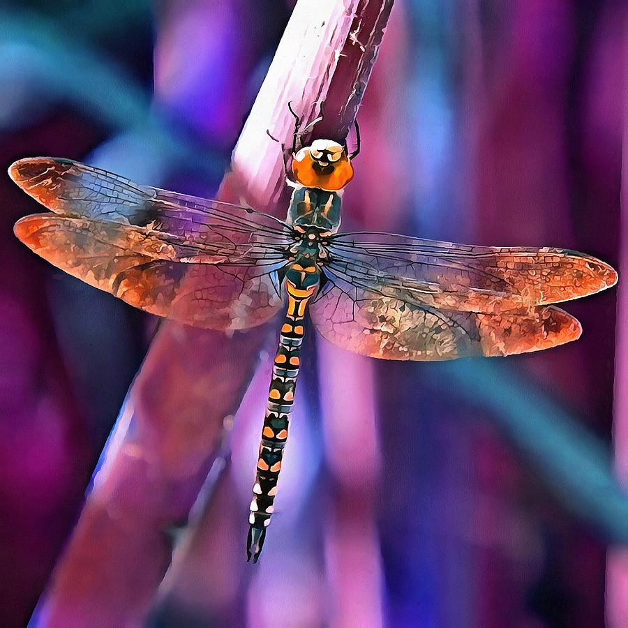 Dragonfly In Orange and Blue Painting by Taiche Acrylic Art