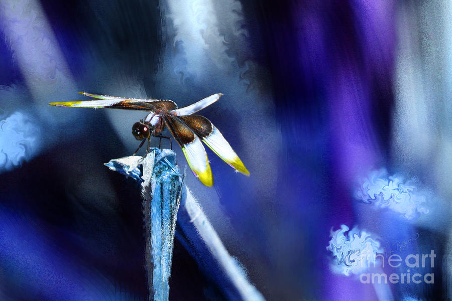 Dragonfly in the Blue Mixed Media by Lisa Redfern