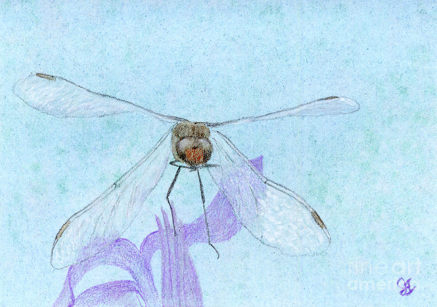 Dragonfly Landing Painting by Jackie Irwin