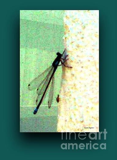 Dragonfly Mixed Media by Leanne Seymour
