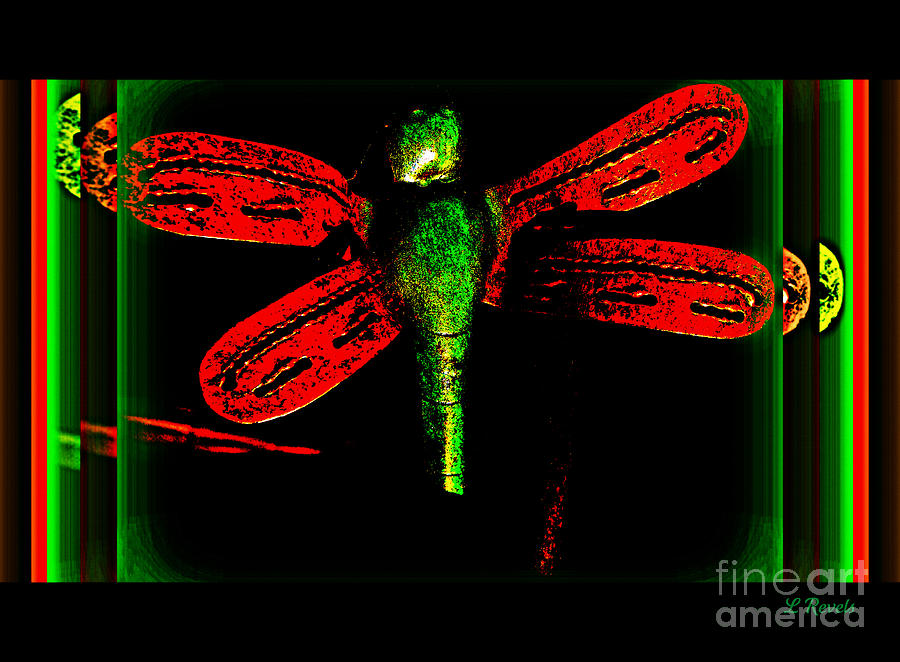 Dragonfly Photograph by Leslie Revels