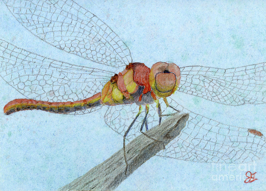 Dragonfly Lookout Painting by Jackie Irwin
