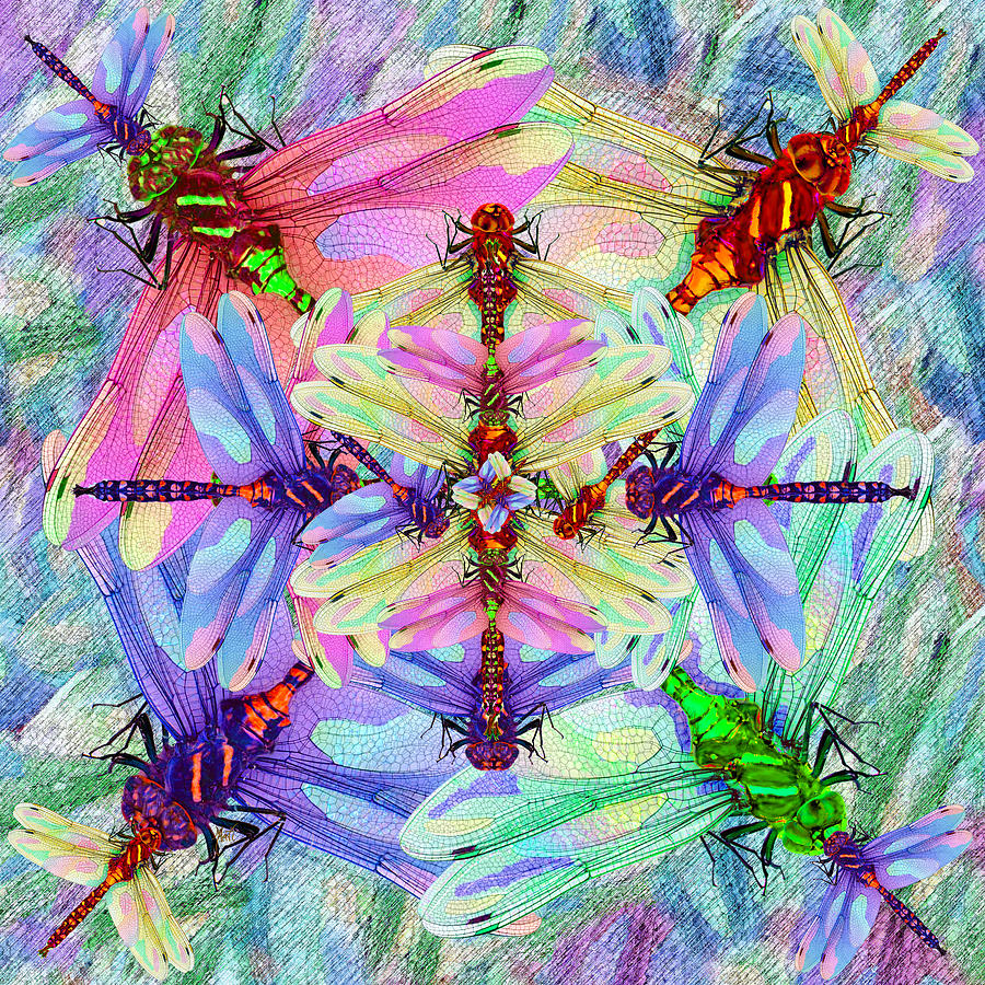 Dragonfly Mandala Painting by Michele Avanti