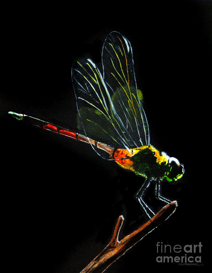 Dragonfly Painting - Dragonfly by Monica Carrell Dragonfly Painting - Dragonfly by Monica Carrell