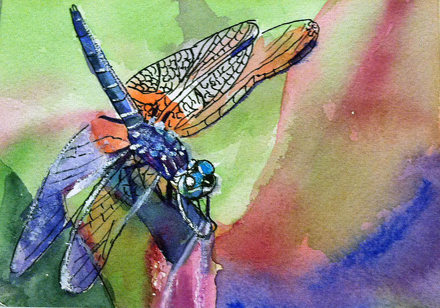 Dragonfly Painting - Dragonfly of Many Colors by Lynne Atwood Dragonfly Painting - Dragonfly of Many Colors by Lynne Atwood