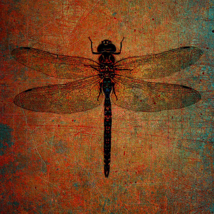 Dragonfly on Distressed Background with a Color Burn Filter Digital Art by Freddy B Dragonfly on Distressed Background with a Color Burn Filter Digital Art by Freddy B