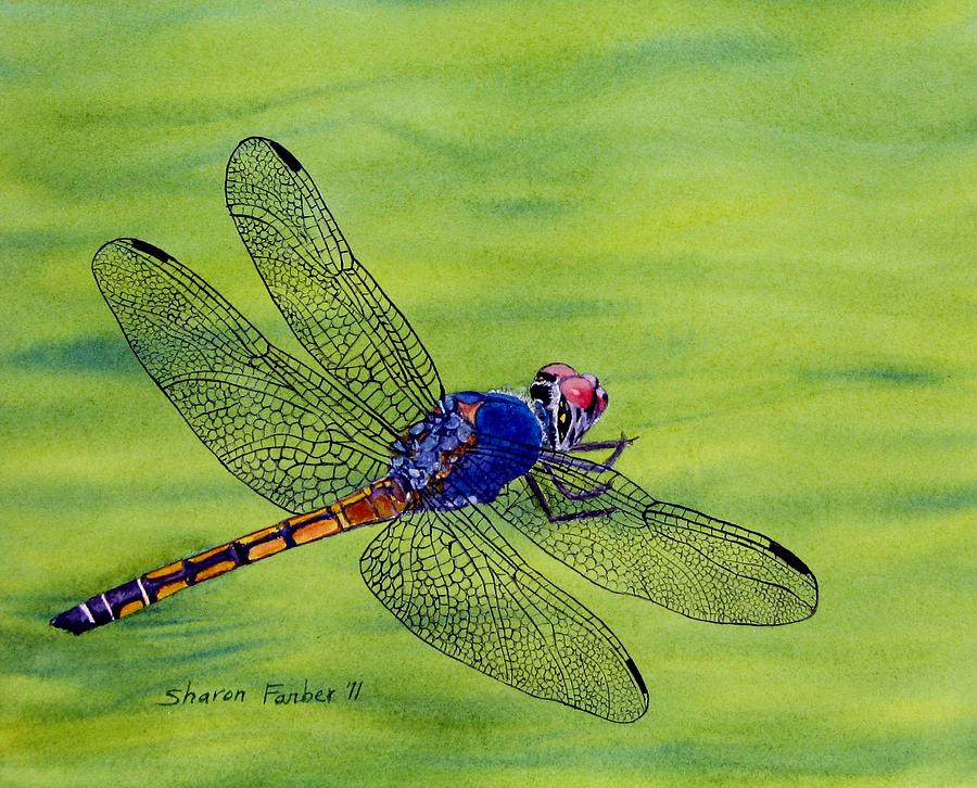 Nature Painting - Dragonfly on Green by Sharon Farber